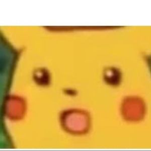 Meet your Posher, Rose